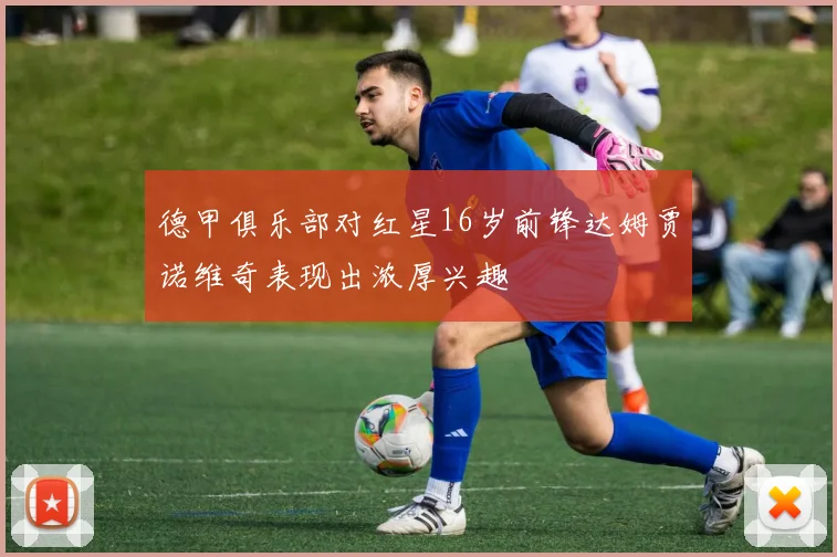 德甲俱乐部对红星16岁前锋达姆贾诺维奇表现出浓厚兴趣