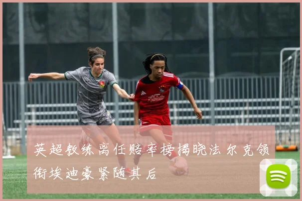 英超教练离任赔率榜揭晓法尔克领衔埃迪豪紧随其后